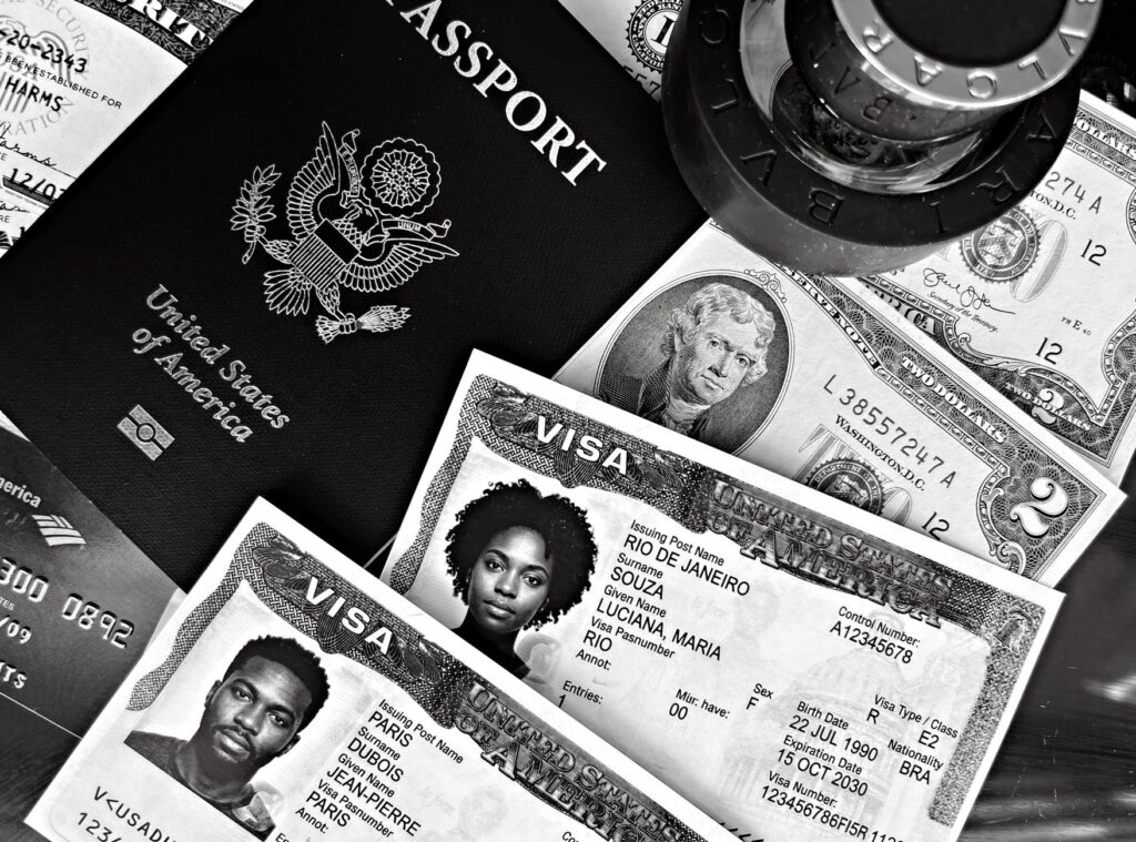 employer-sponsored visa