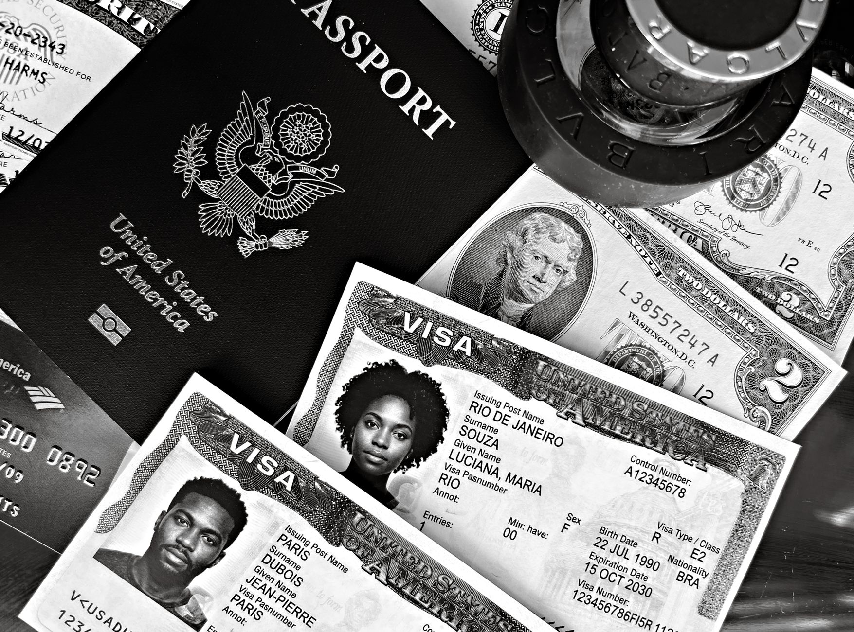 employer-sponsored visa