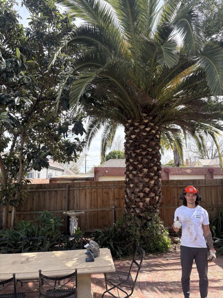 Bobby Pallier in a hard hat and ear defenders giving a thumbs up beside a large palm in a Melbourne backyard